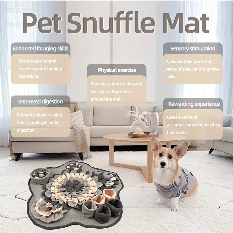 Tapis à renifler interactif