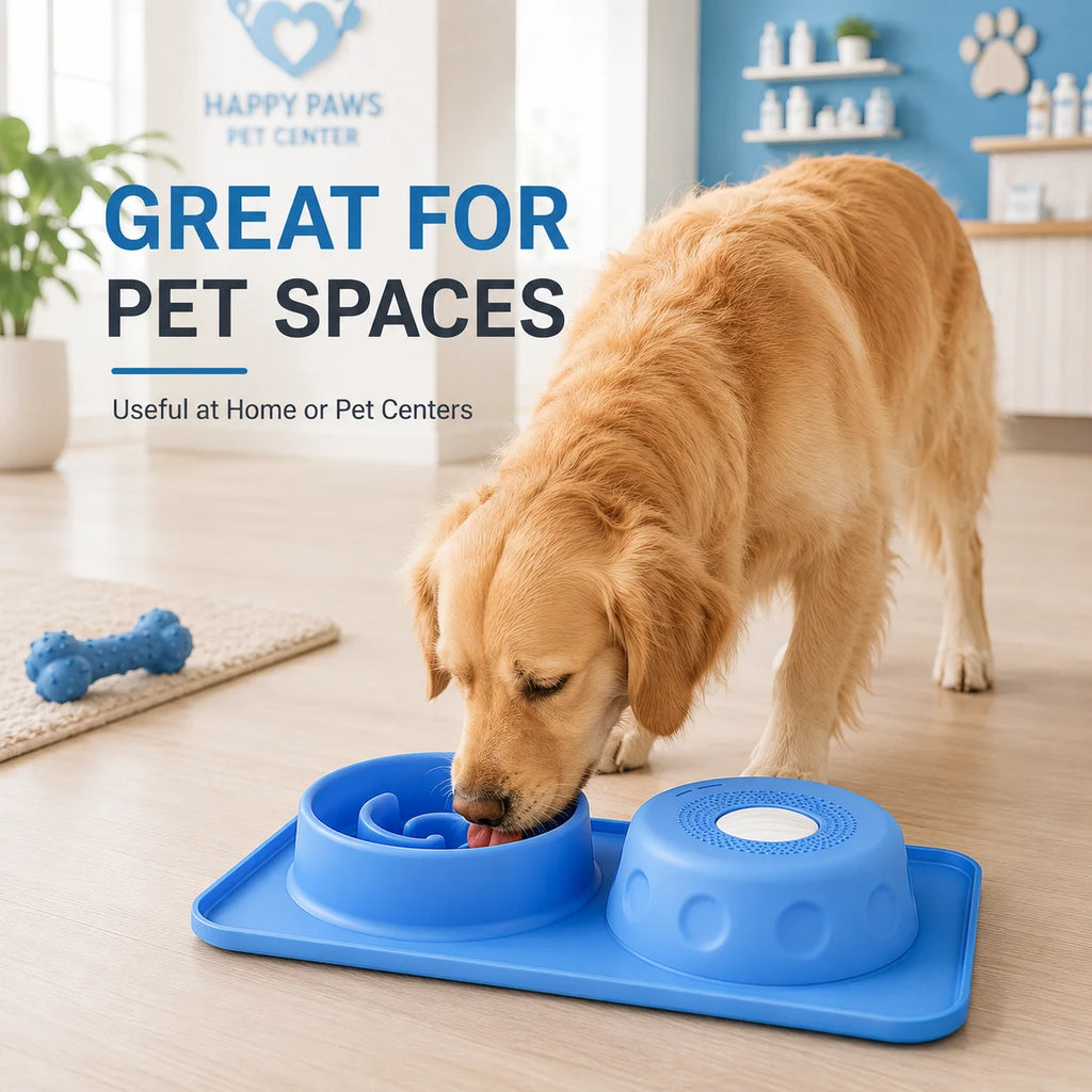 Mangeoire pour chien