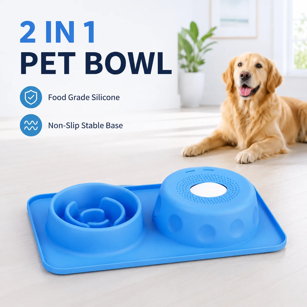 Mangeoire pour chien