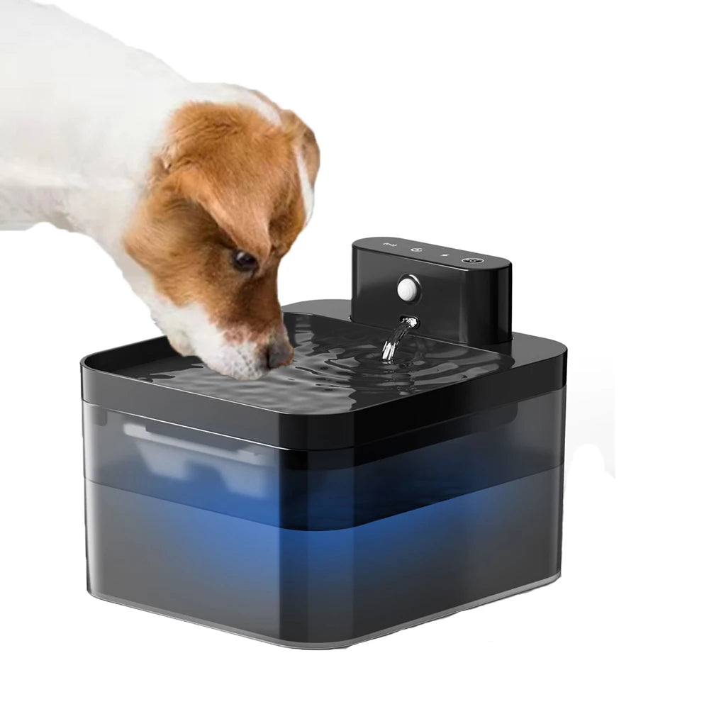 Fontaine à Eau Automatique 2,2 L pour Chiens & Chats 💧🐾
