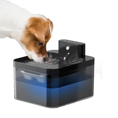 Fontaine à Eau Automatique 2,2 L pour Chiens & Chats 💧🐾