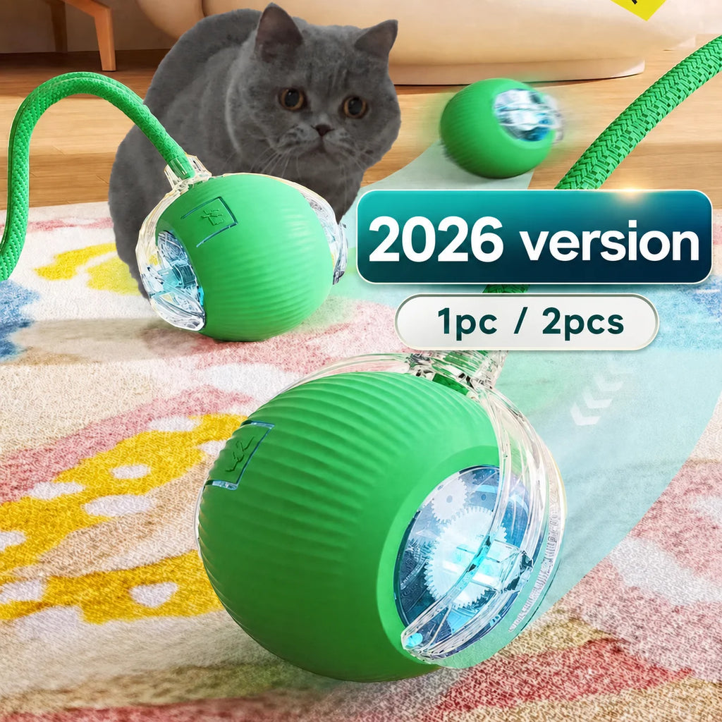 jouet de balle interactif