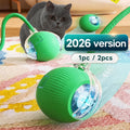 jouet de balle interactif