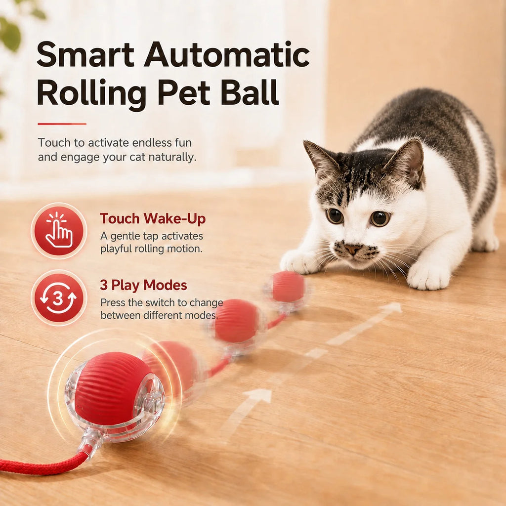 jouet de balle interactif